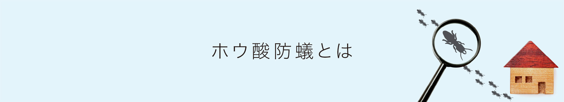 ホウ酸防蟻とは