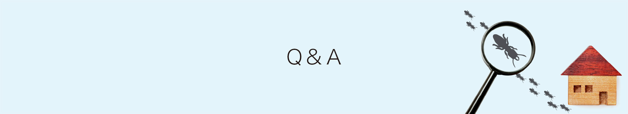 Q&A